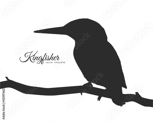 Fotografia, Obraz Silhouette of Kingfisher sitting on a dry branch.