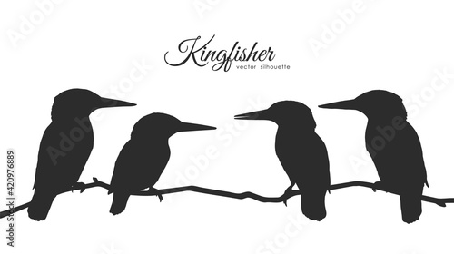 Vector silhouette of a flock of kingfishers sitting on a dry branch.