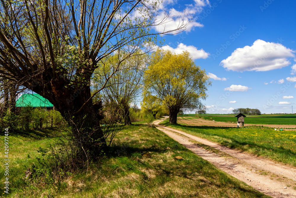 Fototapeta premium Wiosna na Podlasiu, Polska
