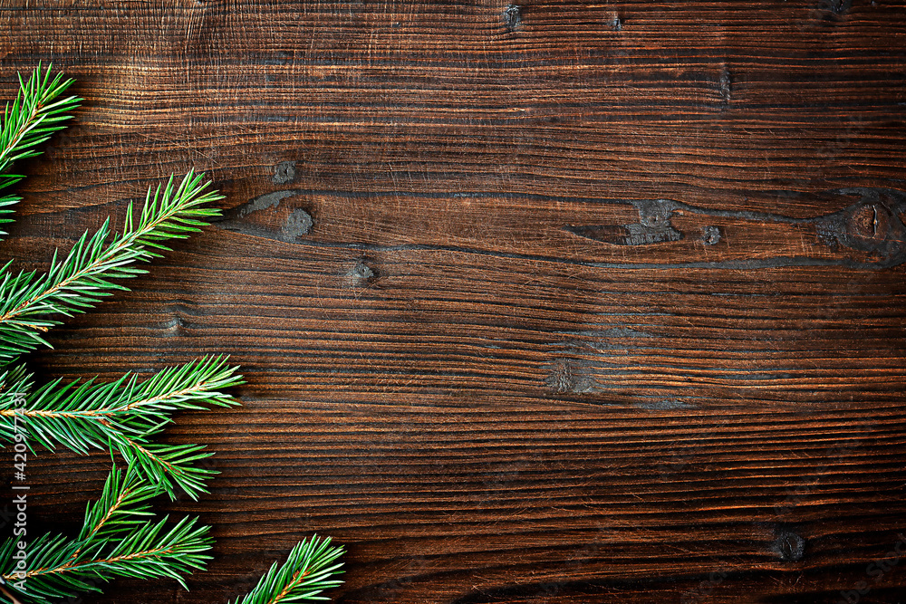 spruce branches spruce branches