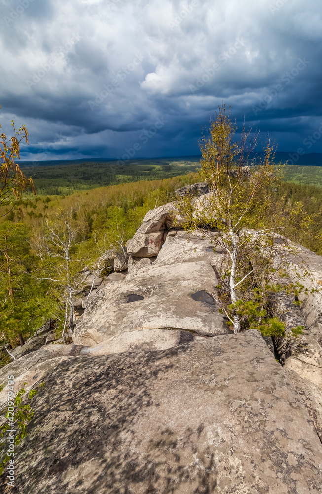 Stone ridge on the background of forest, blue sky and white clouds in summer