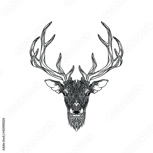 head of a deer