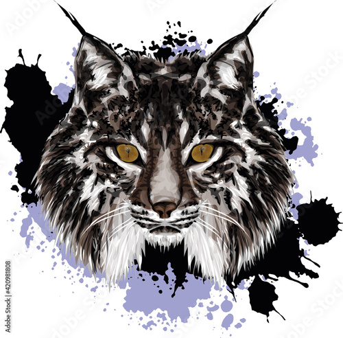 Sticker Lynx