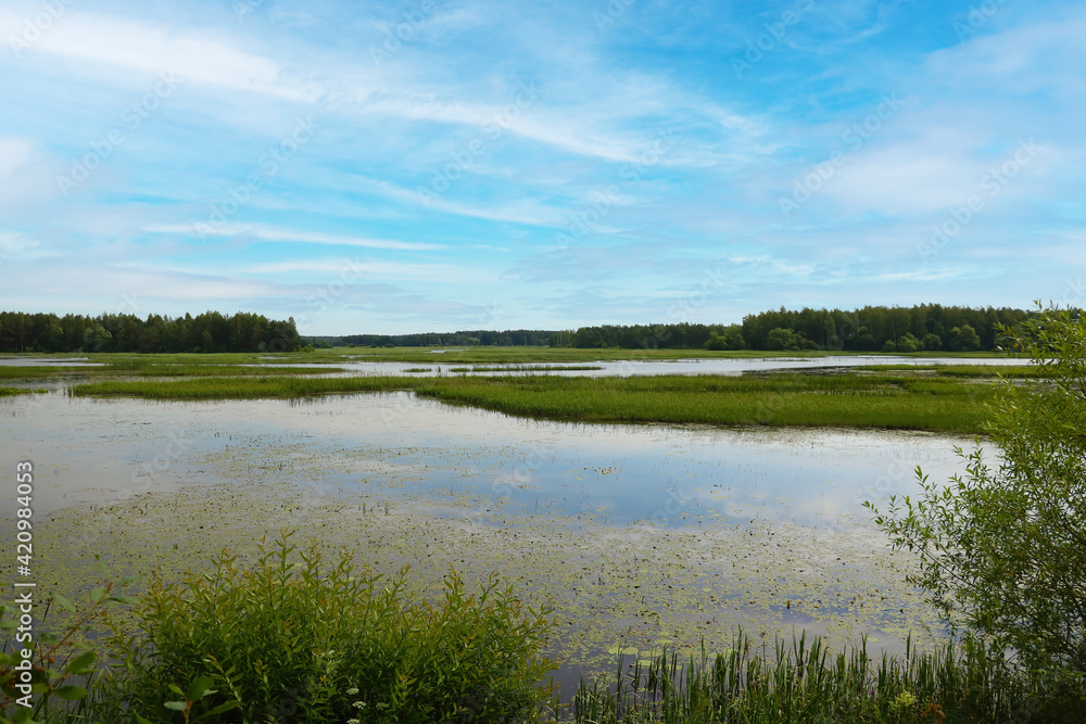 View of a small lake in the countryside. View of a small lake in the countryside.