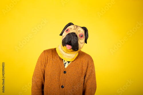 portrait of a man in a pug mask on a yellow background. © jcalvera