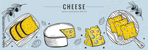 Hand drawn cheese set banner template. Sketch style, colorful illustration of different types of cheese with olives and basil. Light blue, yellow and white colors. Dairy products vector illustration.
