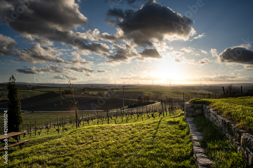 Rheinhessen im März photo