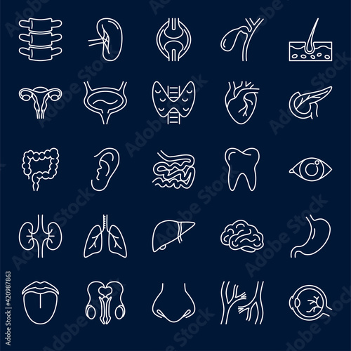 Human internal organs icon set in thin line style
