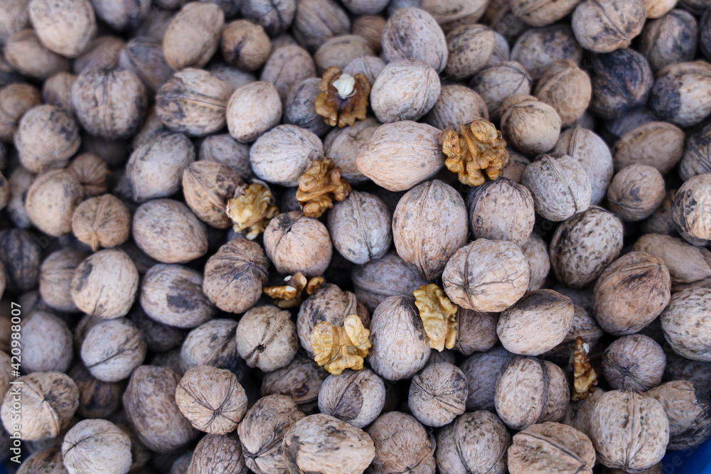 Walnuts with and without shells background of fresh walnuts. Walnuts with and without shells background of fresh walnuts.