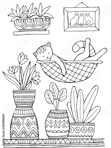 A sleeping cat and pots of home plants. Coloring book for adults and children. Anti-stress