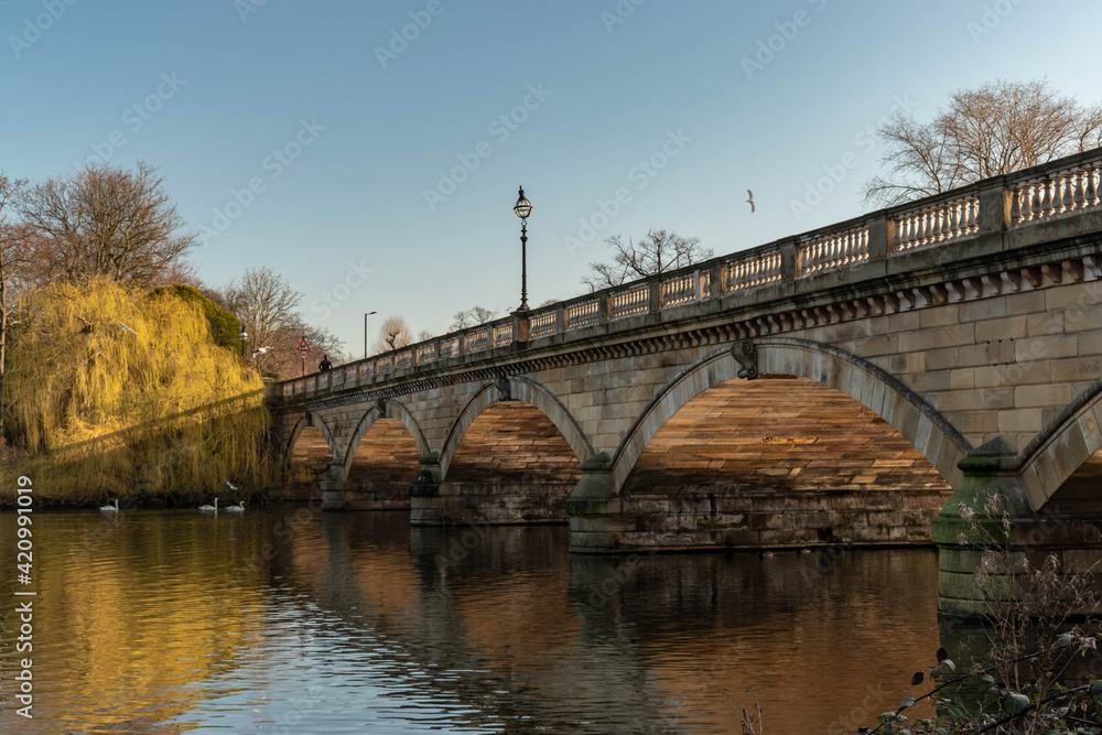 Fototapeta premium Bridge in Hyde Park, london