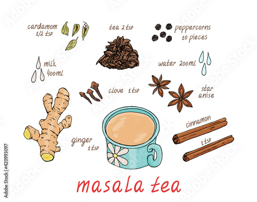 Vector graphics of Indian masala tea recipe isolated on white background. Milk, water, cardamom, star anise, cinnamon, peppercorns, ginger, tea, cloves illustration hand drawn.