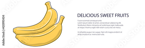 Yellow banana banner, tropical fruit isolated on white background, vector illustration