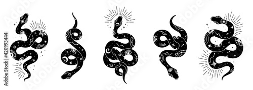 Vector snake set of mystical magic objects- moon, eyes, constellations, sun and stars. Spiritual occultism symbols, esoteric objects. photo