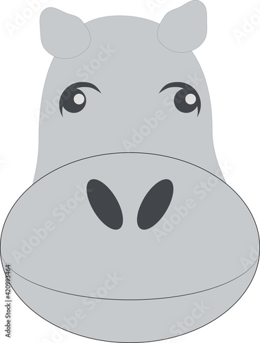 head of gray hippopotam photo