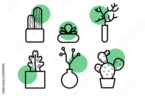 Cute plants in different pots