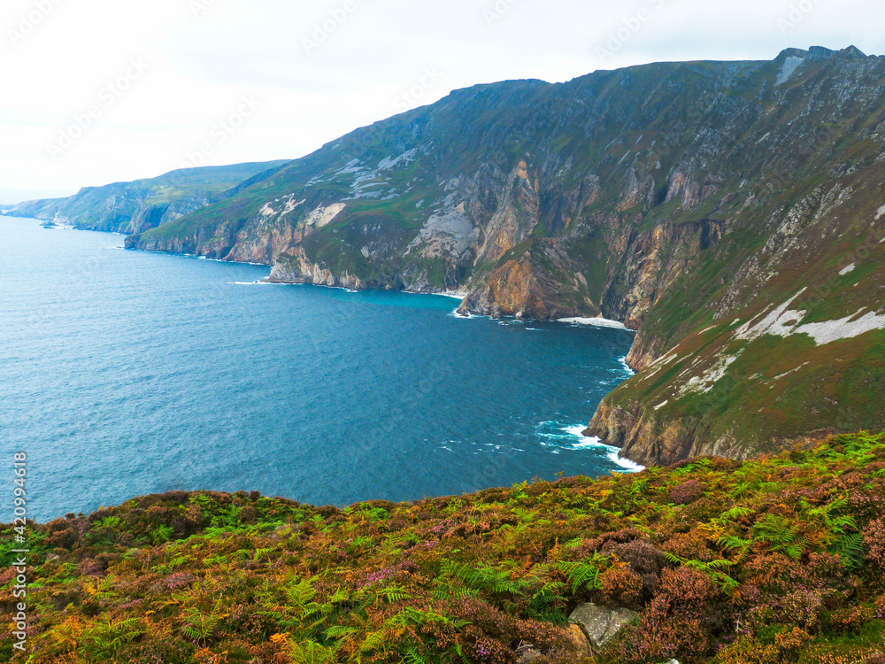 cliffs at irish coast with ocean and green fields