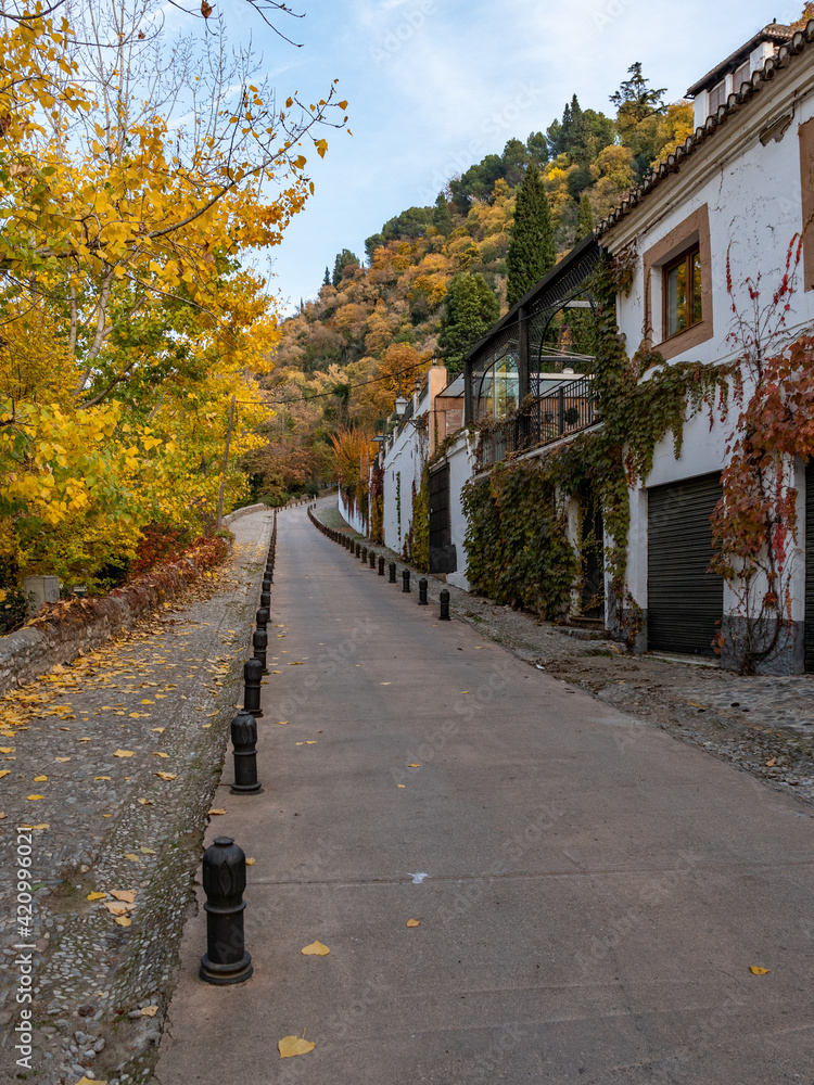 street in autumn in Granada, Spain