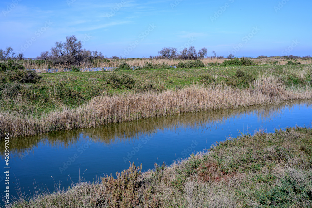 Paysage de Camargue