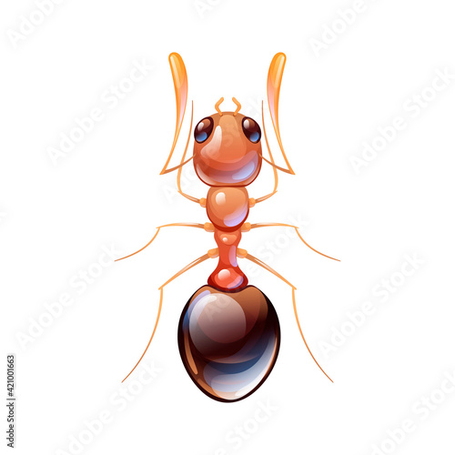 Red forest ant, macro of insect. Pest control