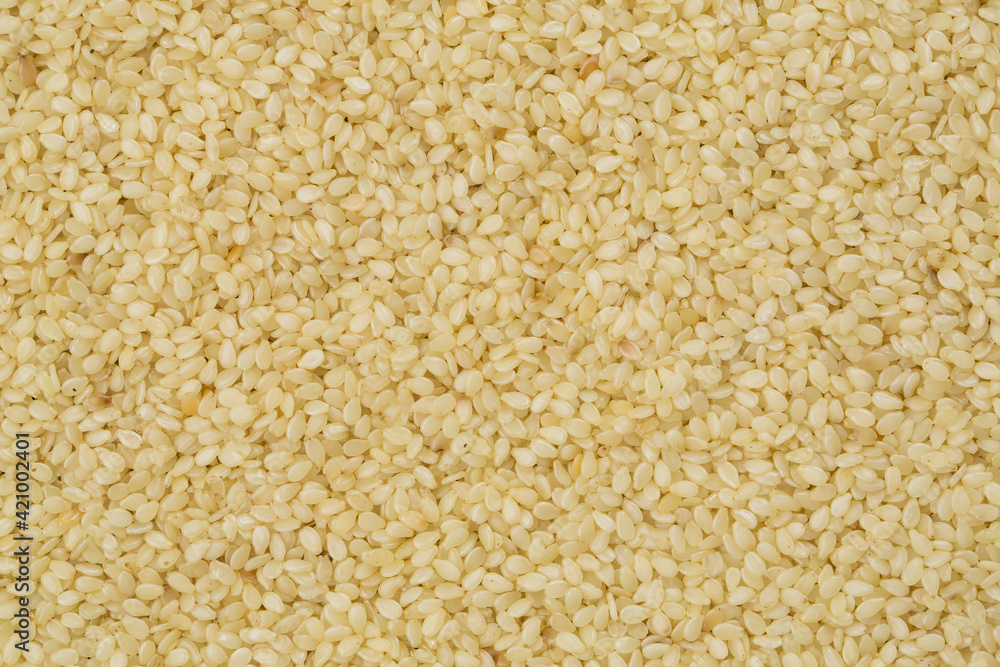 Sesame seeds in studio close up Sesame seeds in studio close up