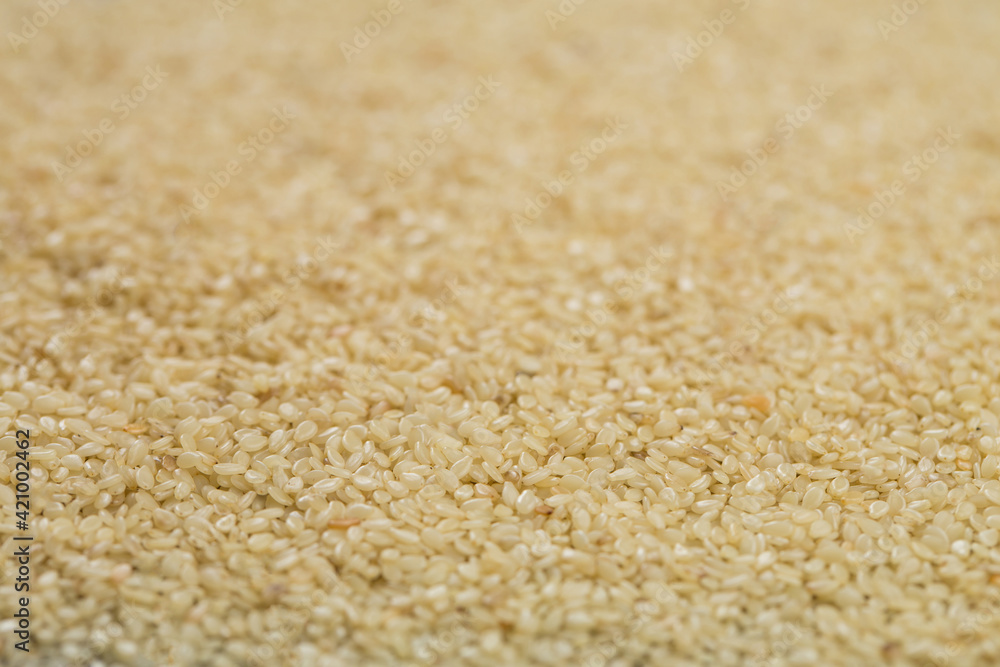 Sesame seeds in studio close up Sesame seeds in studio close up