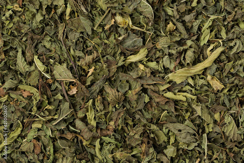 Dry mint on black wooden background Dry mint on black wooden background
