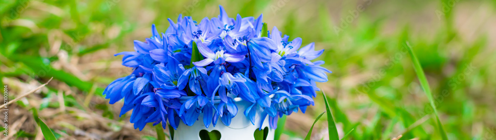 Bouquet of bluebell flowers among green grass banner panoramic