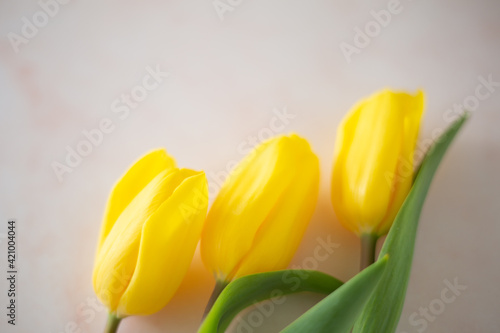 Bouquet of the yellow tulip flowers