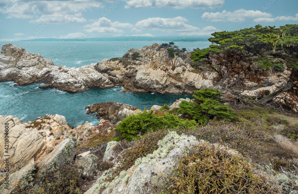 Beautiful landscape, view rocky Pacific Ocean coast at Point Lobos State Reserve in Carmel, California.