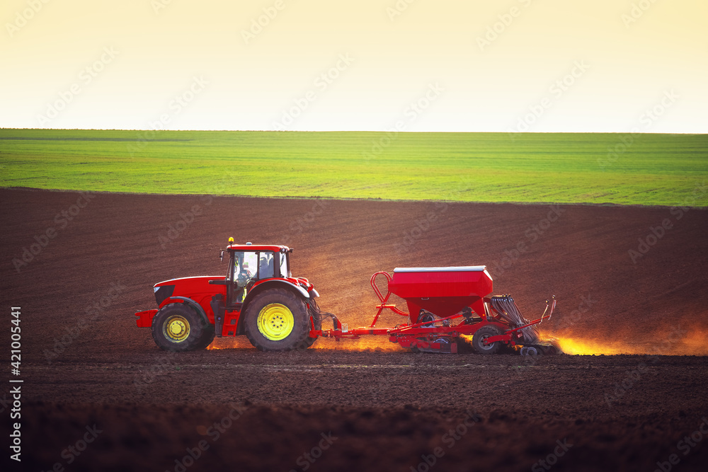 Obraz premium Farmer with tractor seeding crops at field