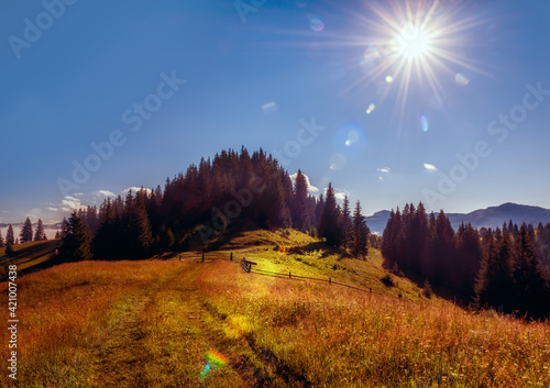 Carpathian mountains summer landscape,. natural summer travel background. 
