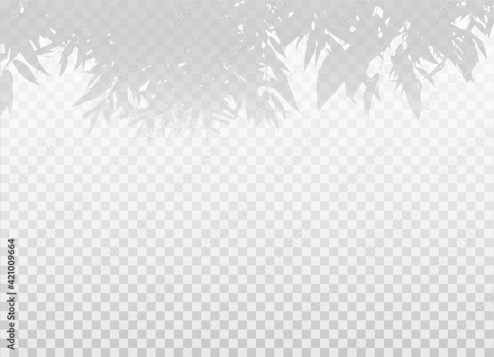 Obraz premium Vector realistic shadow effect from leaves and foliage. Plant or tree branches with empty space isolated on transparent background.