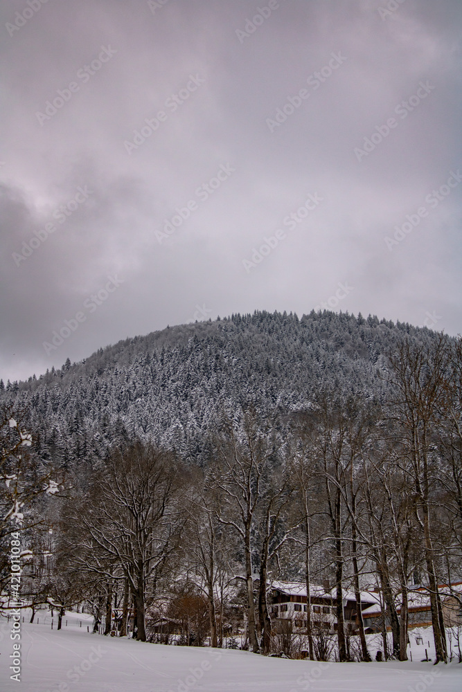 landscape in the mountains