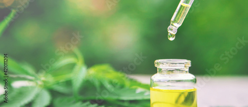 Obraz na plátně Cannabis essential oil in a small bottle. Selective focus.