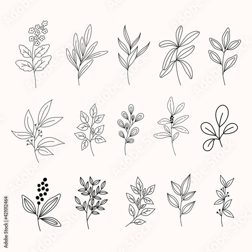 Set of modern line art floral elements.hand draw florals