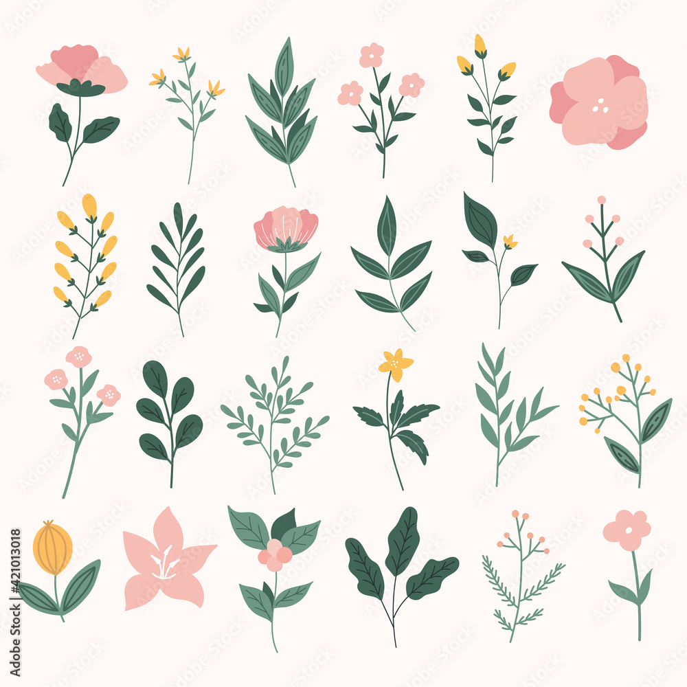 Set of floral elements.Flower and green leaves. Set of floral elements.Flower and green leaves.