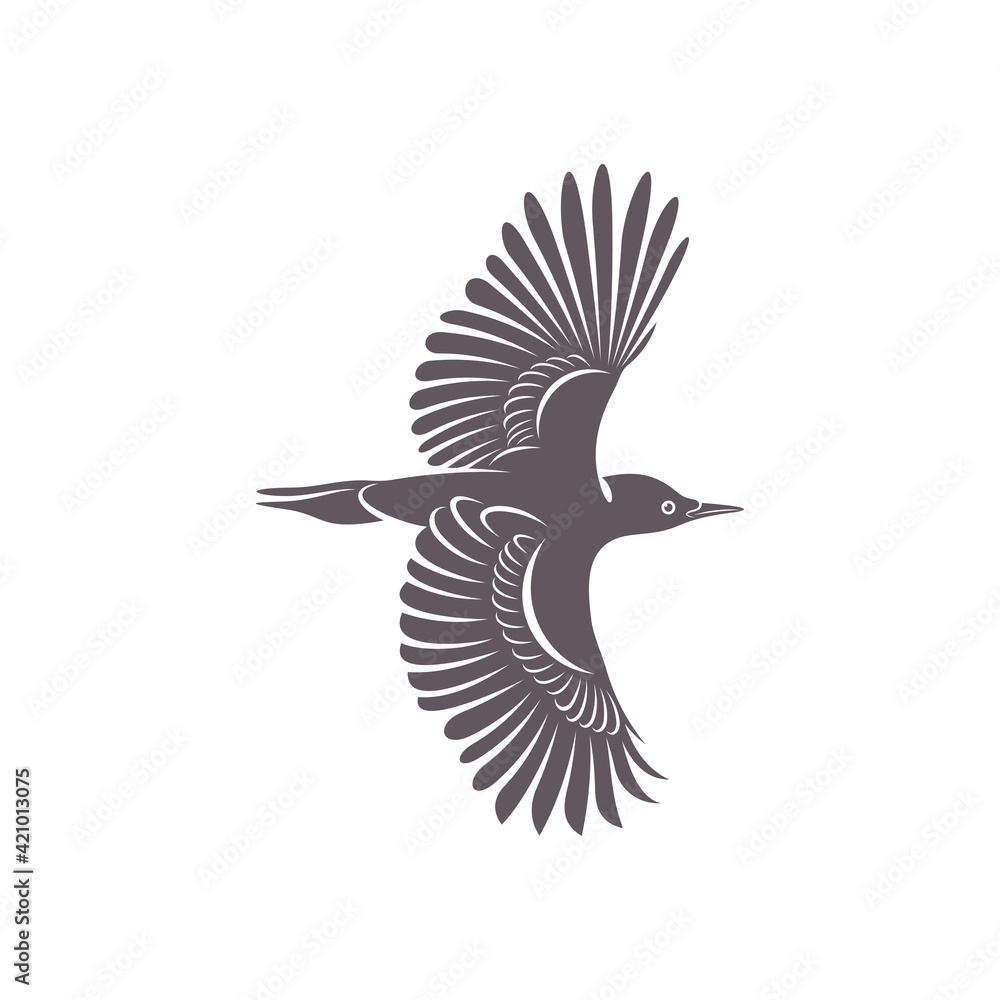 Fototapeta premium Woodpecker bird design vector illustration, Creative Woodpecker bird logo design concept template, symbols icons