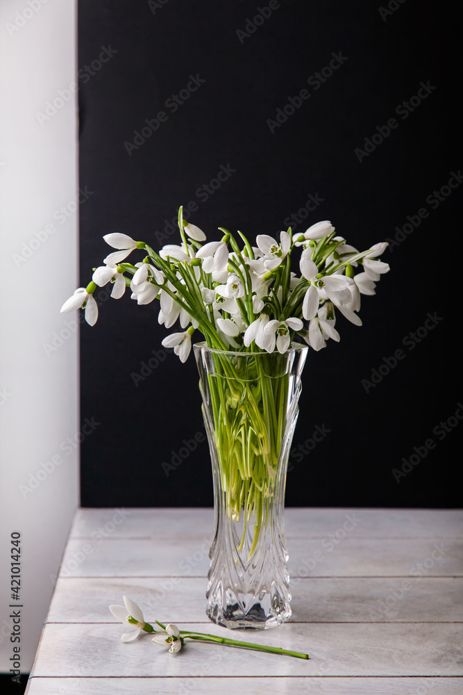 Bouquet of white snowdrops Galanthus nivalis in glass jar on dark tones on wooden background, still life in Feigned carelessness