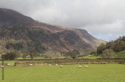 A view towards Cadair Idris in a beautiful valley in the Snowdonia National Park.