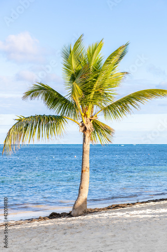 Punta Cana, in the Dominican Republic. December 2020. Woman relaxing on the beach in the Caribbean. 