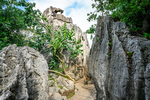 Path and Phoenix wings shaped stone formation at Shilin stone forest park Yunnan China