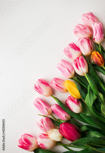 Fototapeta Naklejka Na Ścianę i Meble -  Pink fresh tulips flowers on white background