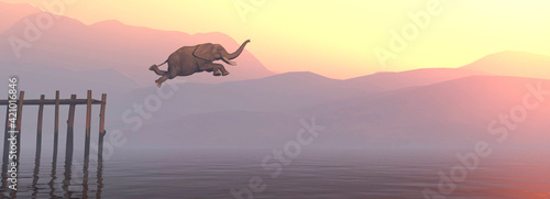 Jump elephant photo