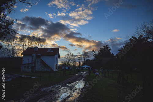 sunset in the field
