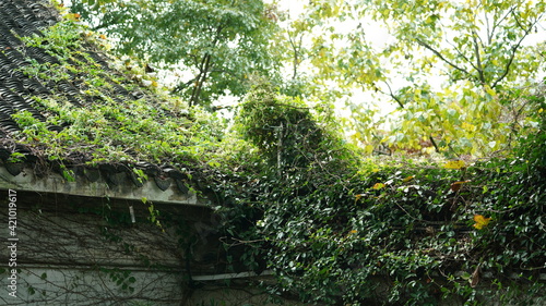 The beautiful old Chinese garden view with the black tiles roof and stone sculpture decoration