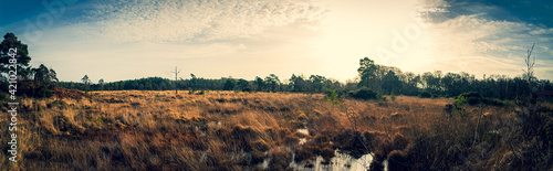 Heathland Panorama