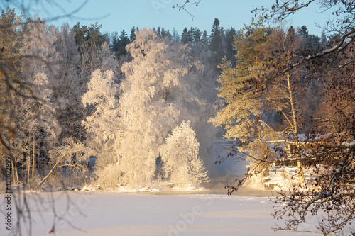 Mist, Frost and Frozen Lake. A sunny but freezing temperature on this winter day in Finland makes the birch tree's branches turn white while the river rapids creates mist and the lake frozen.