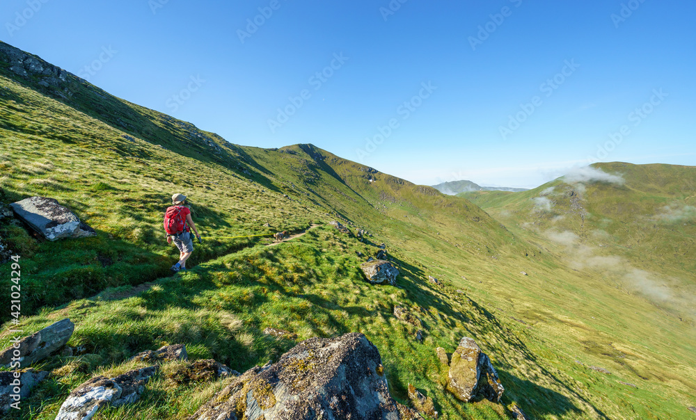 A female hiker and their dog walking towards the mountain summit of Meall Corranaich with the mountain ridge of Ben Lawers and Beinn Ghlas above in the Scottish Highlands, UK landscape.