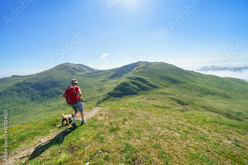 A female hiker and their dog walking down from the mountain summit of Meall Corranaich with Ben Lawers and Beinn Ghlas in the distance in the Scottish Highlands, UK landscape.